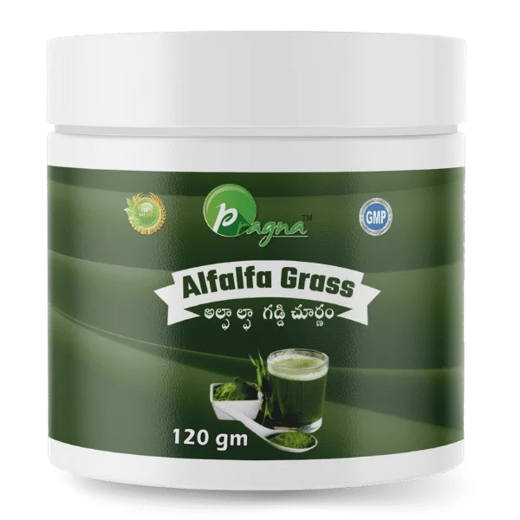 Pragna’s Alfalfa Grass Powder can help decrease cholesterol and may also help manage blood sugar levels and treat hormonal disorders.