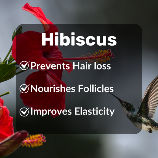 Herbs Magic Ayurvedic Kesh Kalpa Hair Mask | Complete Hair Care for increasing Hair Fall - Image 3