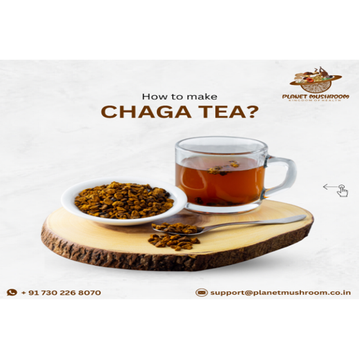 Chaga Mushroom Powder - Image 4