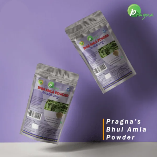 Pragna Bhui Amla powder is 100% pure and naturals. Bhui Amla powder helps in the management of digestive issues such as acidity. - Image 2