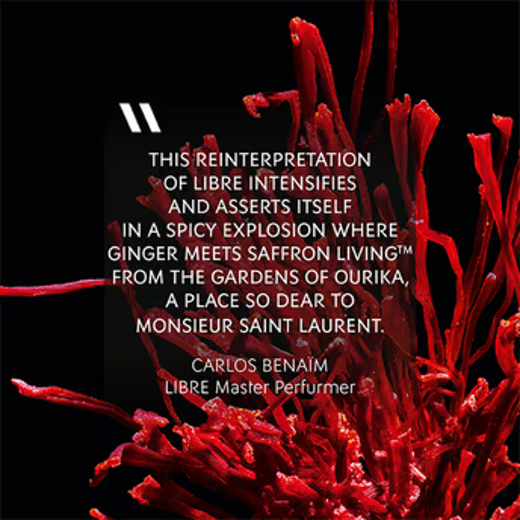 Yves Saint Laurent Libre Le Parfum - Image 4