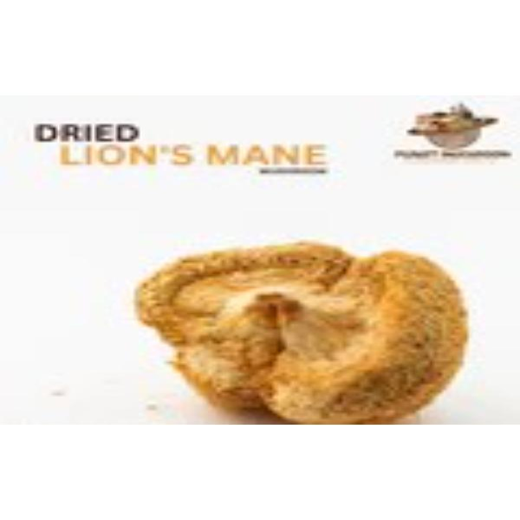 Dried Lions Mane Mushroom (whole body) - Image 3