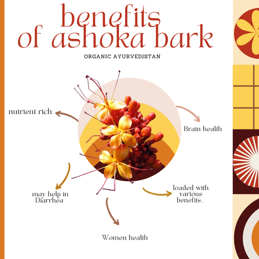 Ashoka bark raw - Image 2
