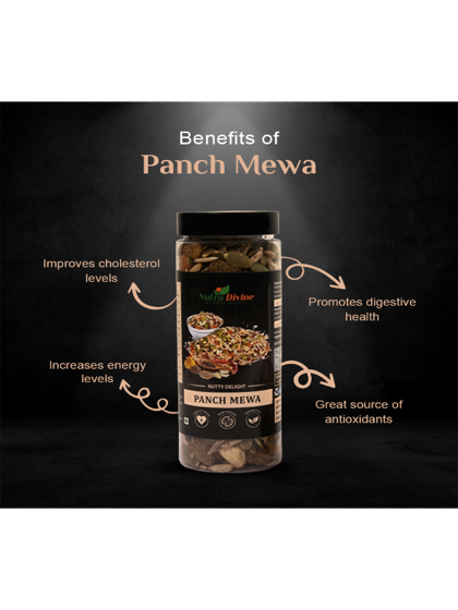 Nutty Delight of Panch Mewa - 200g