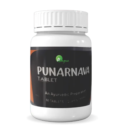 Punarnava possesses anti-inflammatory characteristics that help to keep the entire excretory system in good working order. - Image 2