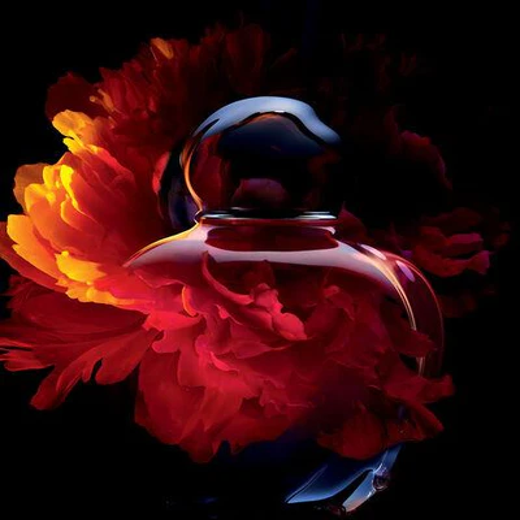 Hypnotic Poison Eau de Parfum – Dior - Image 4