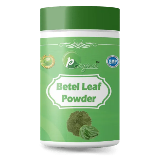 Pragna Betal Leaf powder is 100% pure and natural. Betal leaf is Anti-diabetic medication. Various anti-diabetic medications have long-term adverse effects on the liver and kidneys.