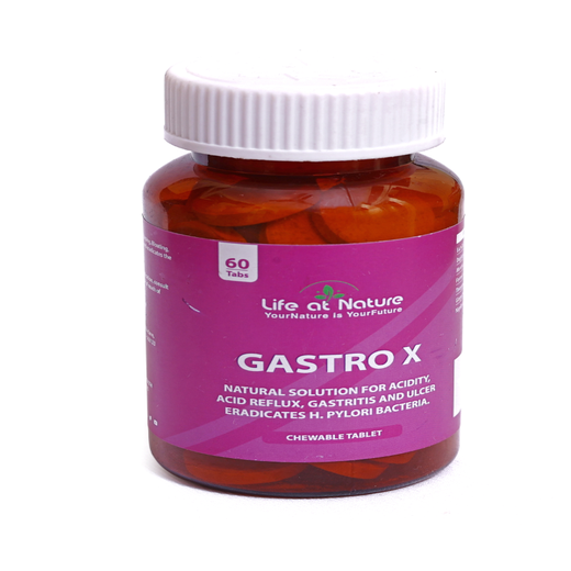 GASTRO X - Image 4